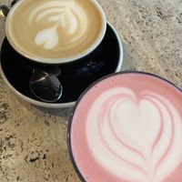   at Urban House in Bratislava