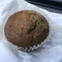 Zucchini muffin-so good at Queen City Grounds in Charlotte