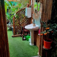  at Jungle Cafe in Galway