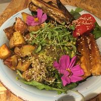 Bowl with salad, roasted vegetable and tempeh at Coco & Nuts Concept Store in Marseille