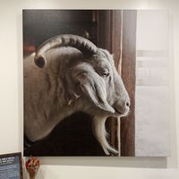   at The Gray Barn in High Falls