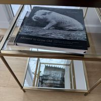   at The Gray Barn in High Falls