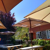Outside seating at The Plantation Restaurant & Tea Rooms in Polperro