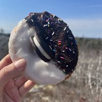 Perfect hiking fuel 👌  at Vandal Doughnuts - Gottingen St in Halifax
