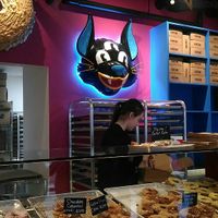 Inside at Vandal Doughnuts - Gottingen St in Halifax