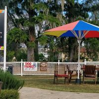 Outside at Nash Gallery & Café in Esk