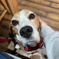   at Sea Change  in South Shields