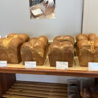   at April and May 45 꽃피는 4월 밀익는 5월 in Busan