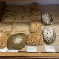   at April and May 45 꽃피는 4월 밀익는 5월 in Busan