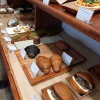  at April and May 45 꽃피는 4월 밀익는 5월 in Busan