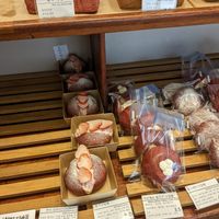 More cream buns at April and May 45 꽃피는 4월 밀익는 5월 in Busan