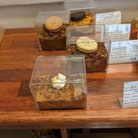 Desert crumbles at April and May 45 꽃피는 4월 밀익는 5월 in Busan