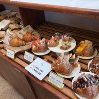 Amazing 👏 🤩 at April and May 45 꽃피는 4월 밀익는 5월 in Busan