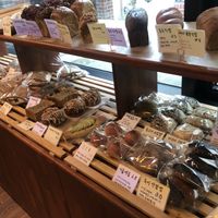 Display at April and May 45 꽃피는 4월 밀익는 5월 in Busan