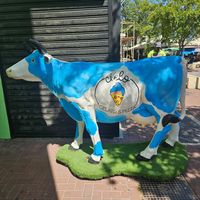  at Cielo Gelato & Pizza in Willemstad