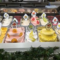 Everything to the right of the divider is vegan! at Cielo Gelato & Pizza in Willemstad