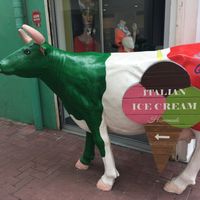this italian cow is leading the way. don’t be fooled: there’s also non-milk available!  at Cielo Gelato & Pizza in Willemstad