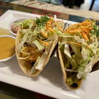 Vegan soft tacos filled with jackfruit and cactus  at El Mexicano Zapata in Rotorua