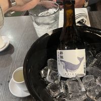   at Sekushi in Clearwater