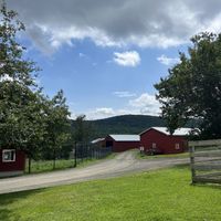   at Farm Sanctuary in Watkins Glen