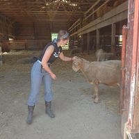  at Farm Sanctuary in Watkins Glen