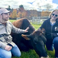 Norman was so kind and his fur was so soft!   at Farm Sanctuary in Watkins Glen