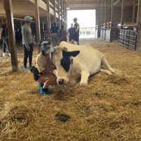   at Farm Sanctuary in Watkins Glen