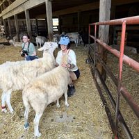   at Farm Sanctuary in Watkins Glen