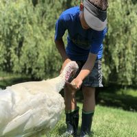 Turkey time :) at Farm Sanctuary in Watkins Glen