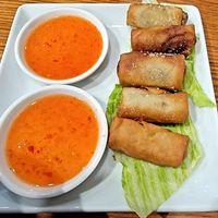 Veggie spring rolls at Ramen Tsubaki in Fayetteville