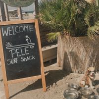 Entrance - dog friendly😄 at Pele Surf Shack in Hook Of Holland
