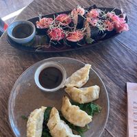 Sushi and Gayoza  at Pele Surf Shack in Hook Of Holland