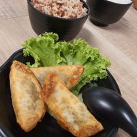 Fried goyza at Greendot - Orchard in Central Singapore