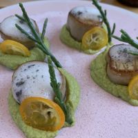   at O Gambuzino in Lisbon