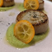 Oyster mushrooms with pea puree at O Gambuzino in Lisbon