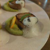 lemon foam, pea pureé & kumquat 😍 at O Gambuzino in Lisbon