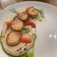 “Scallops” oyster mushroom   at O Gambuzino in Lisbon