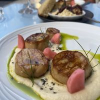 Scallops  at O Gambuzino in Lisbon