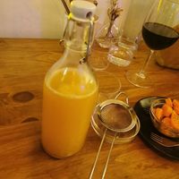 Kombucha at O Gambuzino in Lisbon