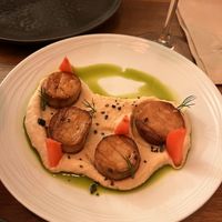 “Scallops"  at O Gambuzino in Lisbon