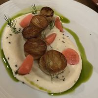 Scallops (4/5)  at O Gambuzino in Lisbon