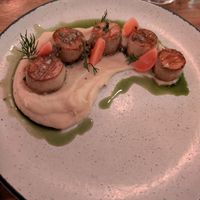 Scallops starter at O Gambuzino in Lisbon