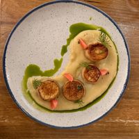 'Scallops' at O Gambuzino in Lisbon