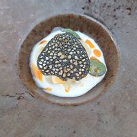  at O Gambuzino in Lisbon