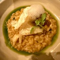 'Sea' rice, confit celeriac, king oyster, coriander oil, lemon air.  at O Gambuzino in Lisbon