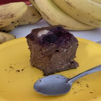 Brownie  at Waicura in Loreto