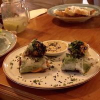 Vegan Vietnamese  spring rolls  at Bistroveg by Ouzo in Santa Marta