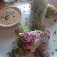 rollitos at Bistroveg by Ouzo in Santa Marta