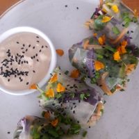 Vegan spring rolls at Bistroveg by Ouzo in Santa Marta