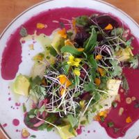 Vegan beet salad with avocado at Bistroveg by Ouzo in Santa Marta